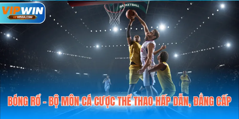 Bóng rổ - Bộ môn cá cược thể thao hấp dẫn, đẳng cấp