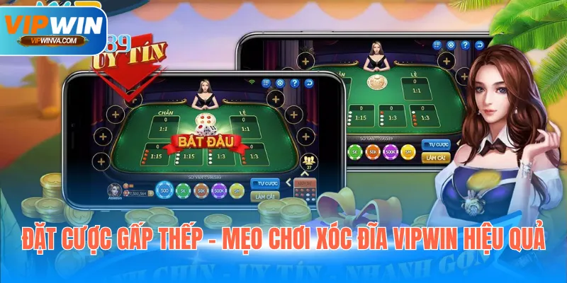 Đặt cược gấp thếp - Mẹo chơi xóc đĩa Vipwin hiệu quả