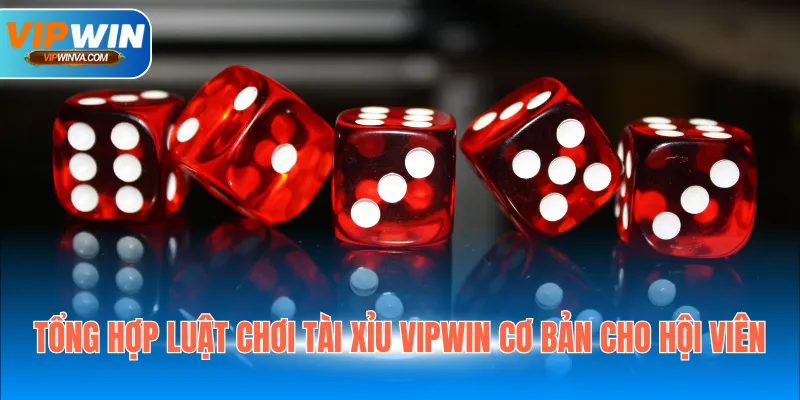 Tổng hợp luật chơi Tài Xỉu Vipwin cơ bản cho hội viên